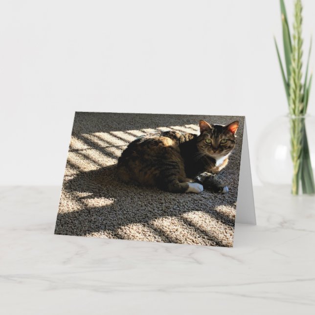 Jours lents, carte (Devant)