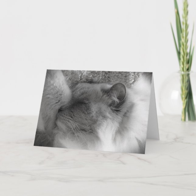 Jours lents, carte (Devant)
