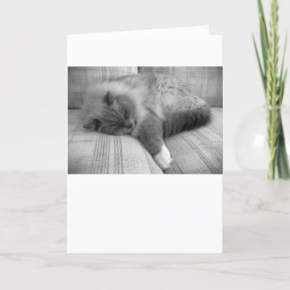 Jours lents, carte