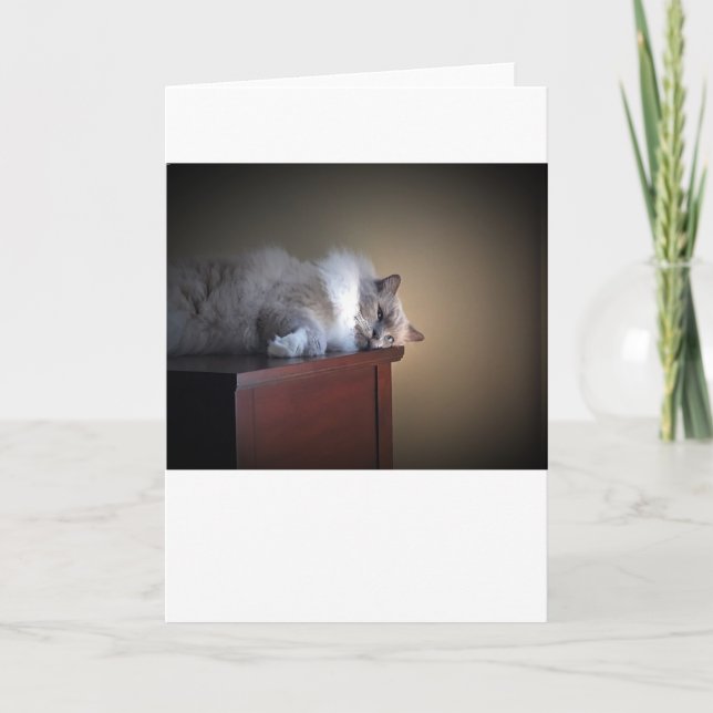 Jours lents, carte (Devant)