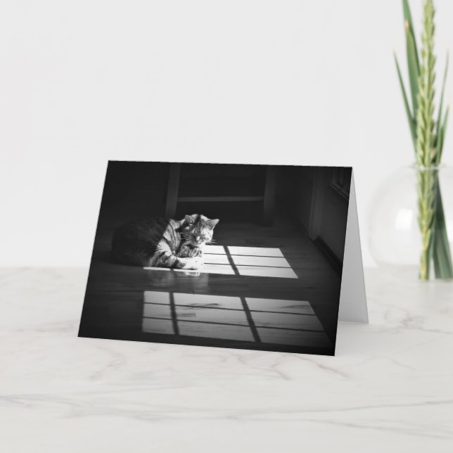 Jours lents, carte (Devant)