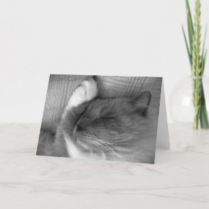 Jours lents, carte
