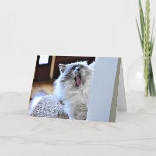 Jours lents, carte