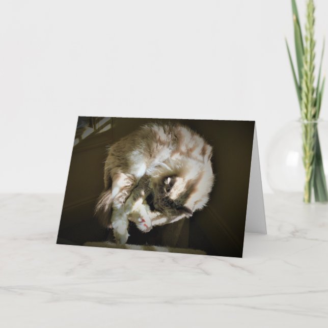 Jours lents, carte (Devant)