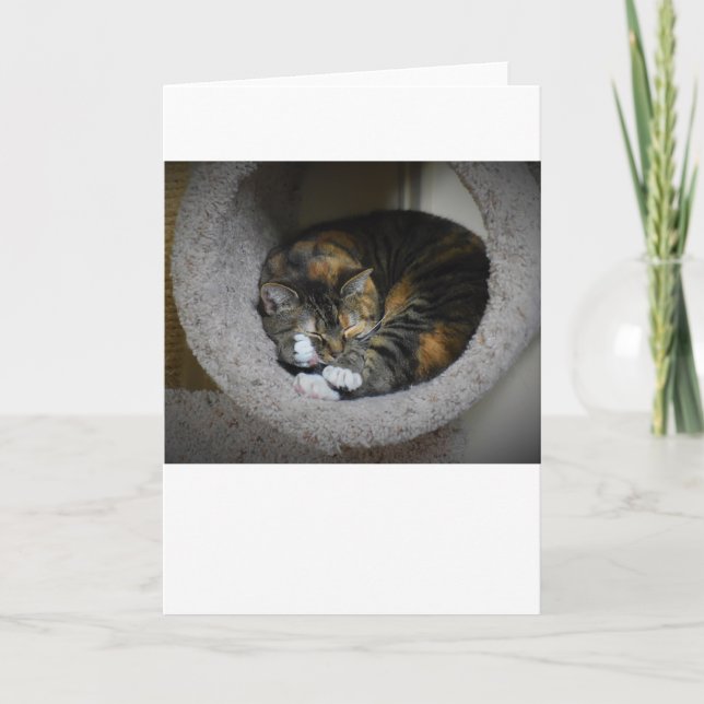 Jours lents, carte (Devant)