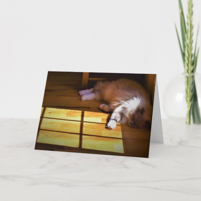 Jours lents, carte (Devant)