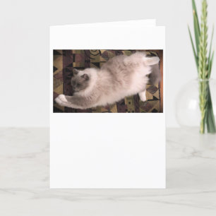 Jours lents, carte
