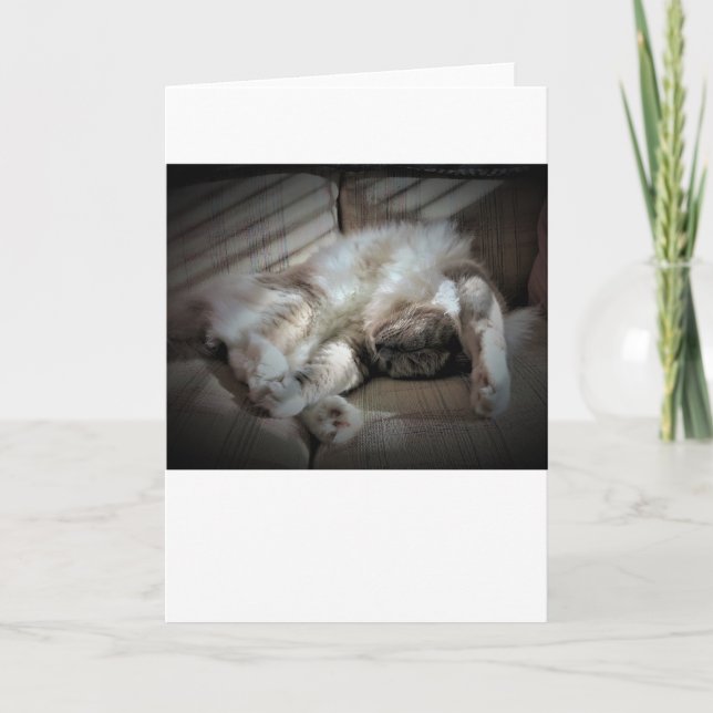 Jours lents, carte (Devant)