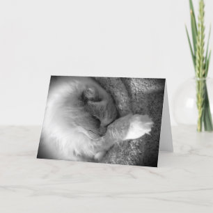 Jours lents, carte