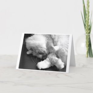 Jours lents, carte