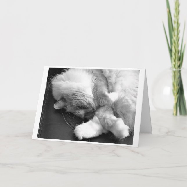Jours lents, carte (Devant)