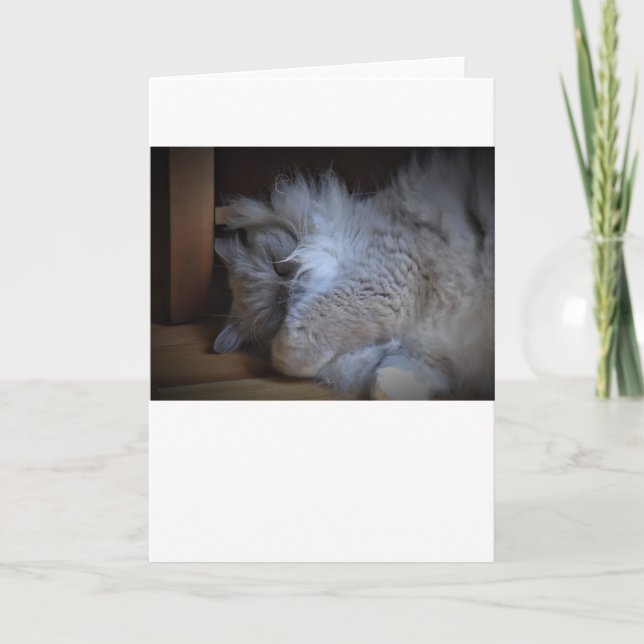 Jours lents, carte (Devant)
