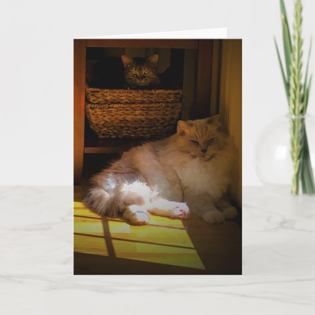 Jours lents, carte (Devant)