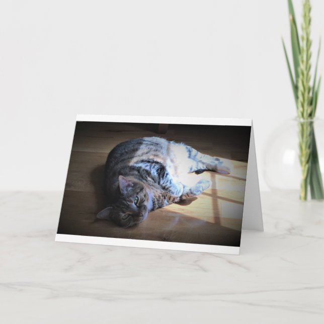 Jours lents, carte (Devant)