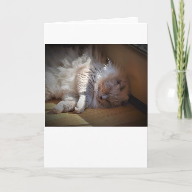 Jours lents, carte (Devant)