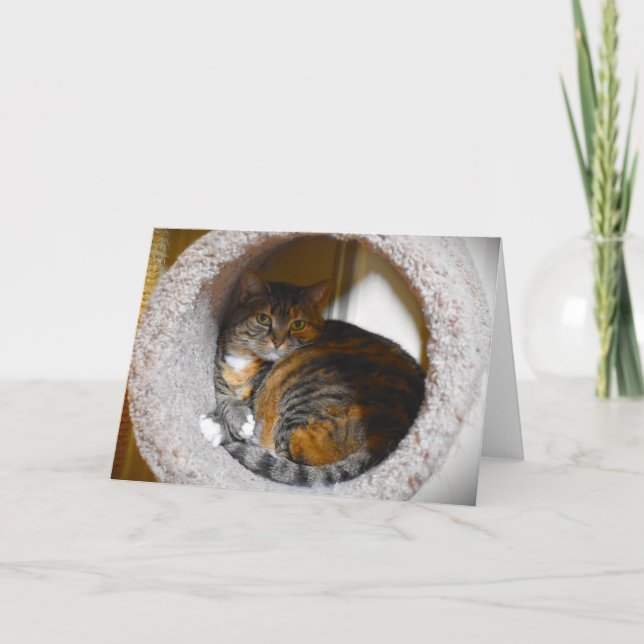 Jours lents, carte (Devant)