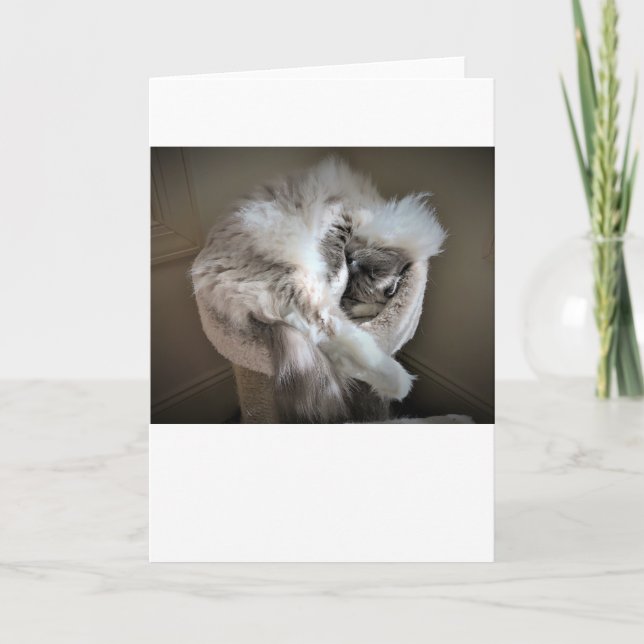 Jours lents, carte (Devant)