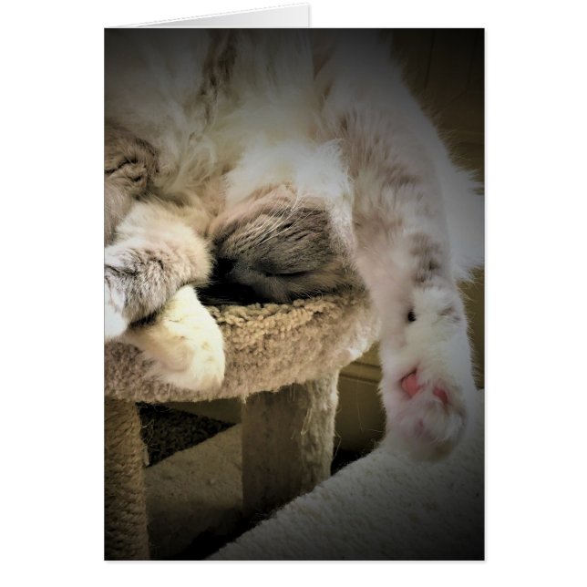 Jours lents, carte (Devant)