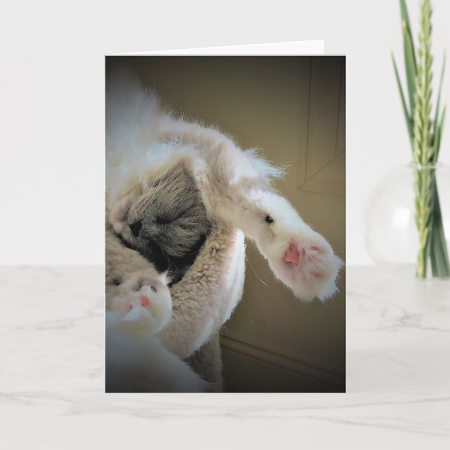 Jours lents, carte (Devant)