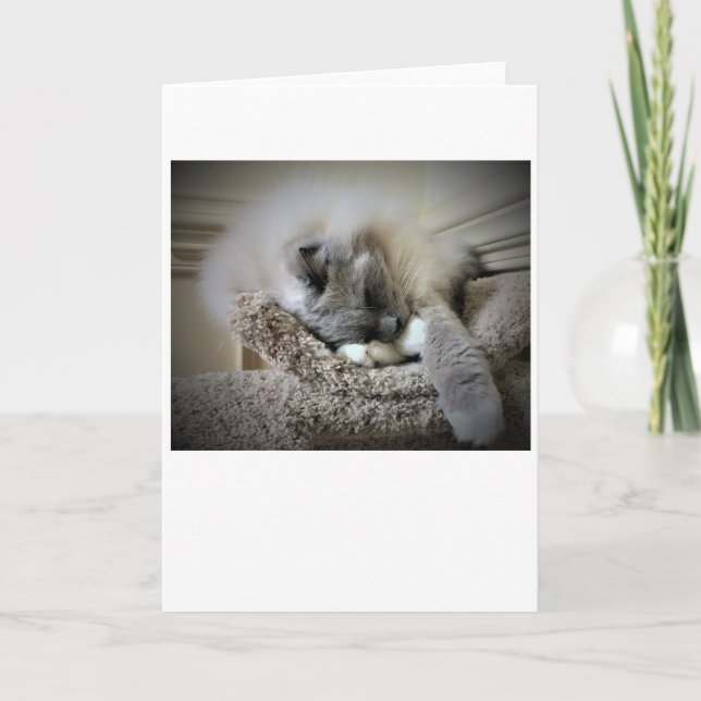 Jours lents, carte (Devant)