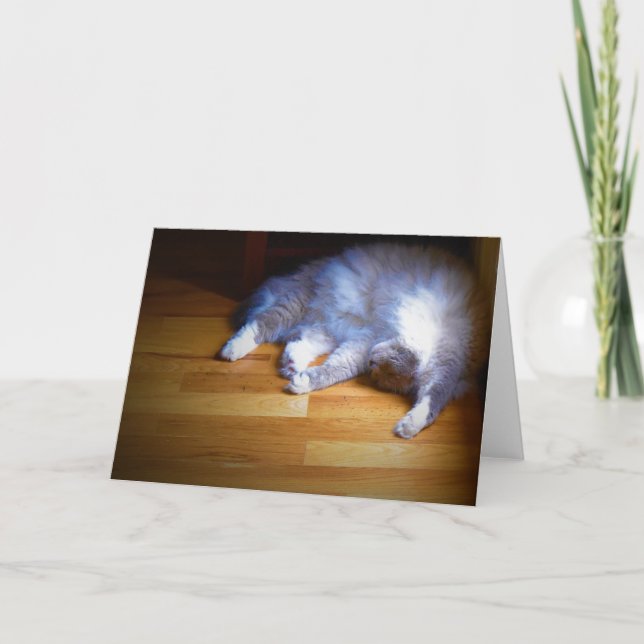 Jours lents, carte (Devant)