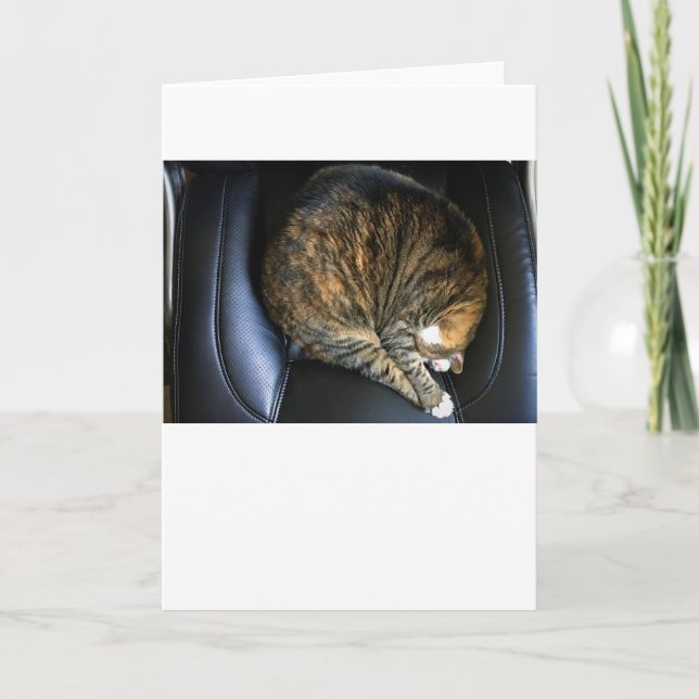 Jours lents, carte (Devant)