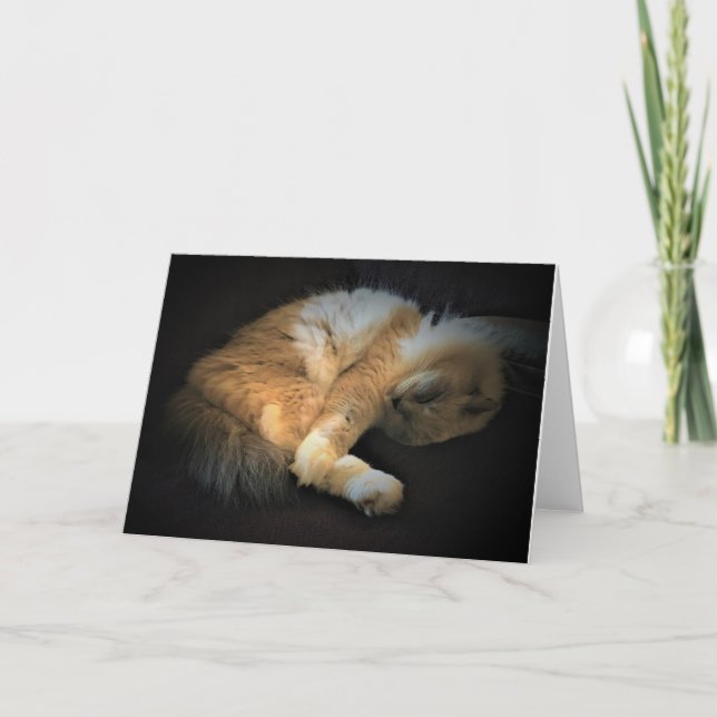 Jours lents, carte (Devant)