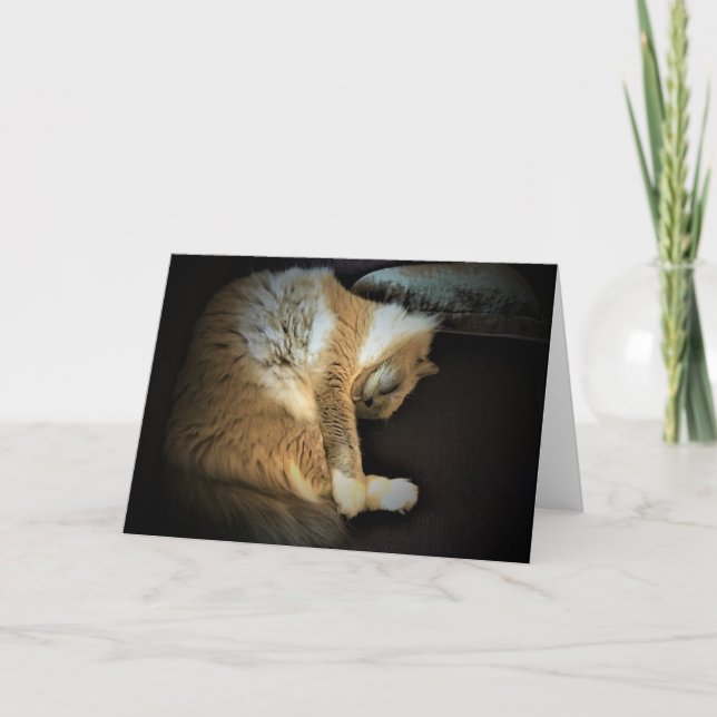 Jours lents, carte (Devant)