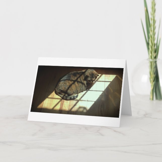 Jours lents, carte (Devant)