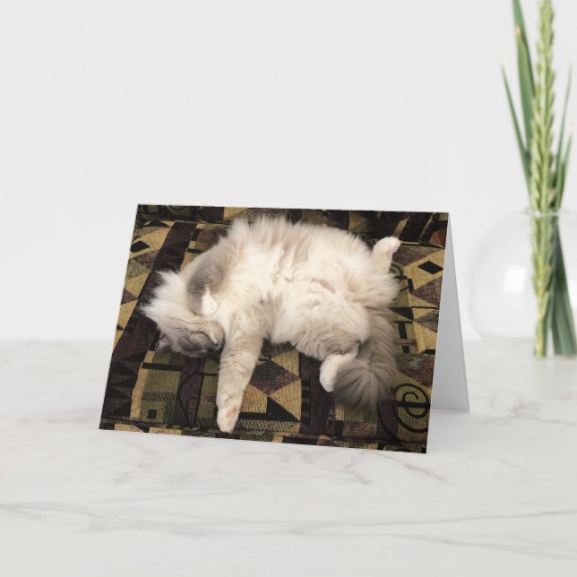 Jours lents, carte (Devant)