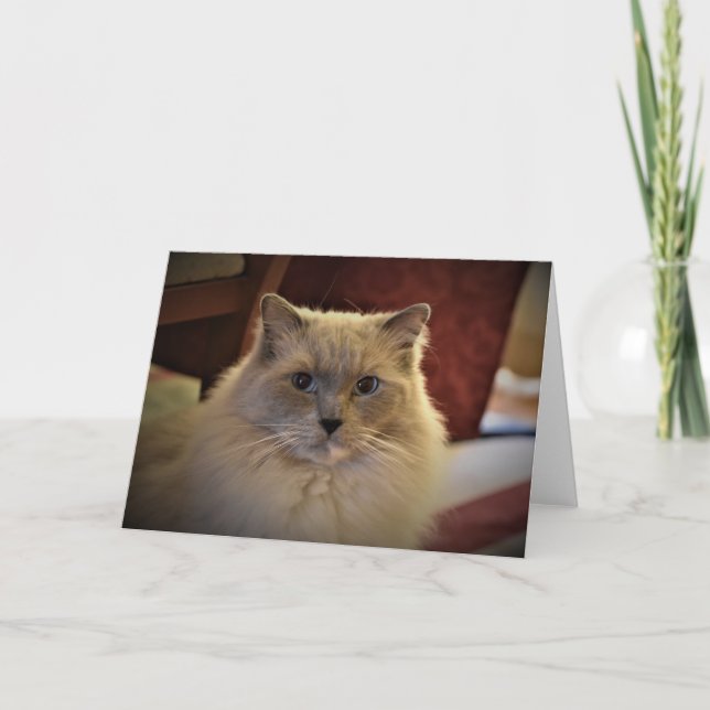 Jours lents, carte (Devant)