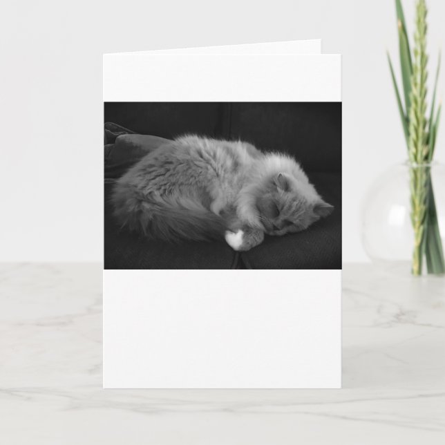 Jours lents, carte (Devant)