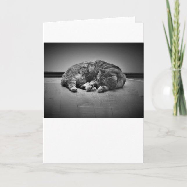 Jours lents, carte (Devant)
