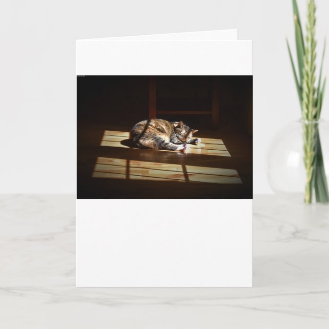 Jours lents, carte (Devant)