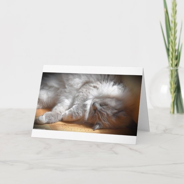 Jours lents, carte (Devant)