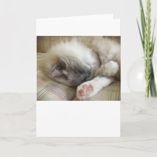 Jours lents, carte (Devant)