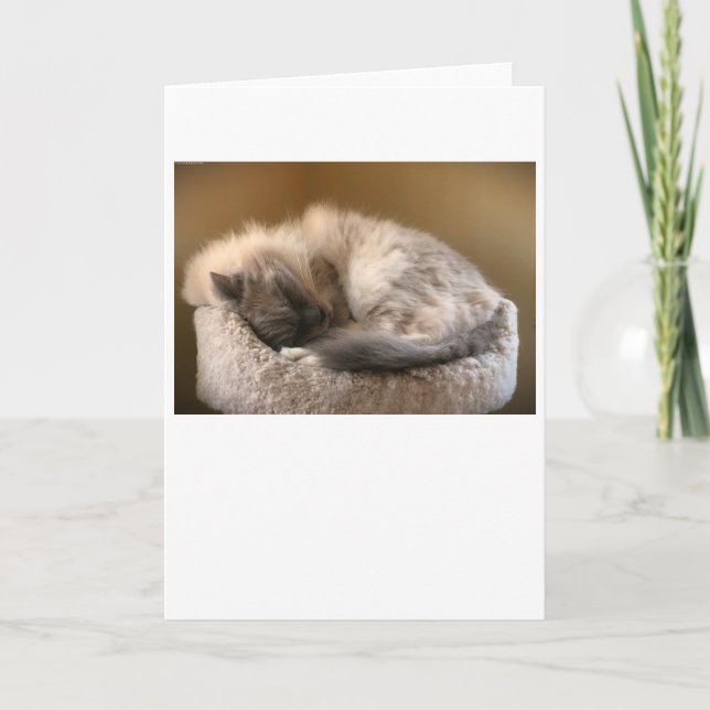 Jours lents, carte (Devant)