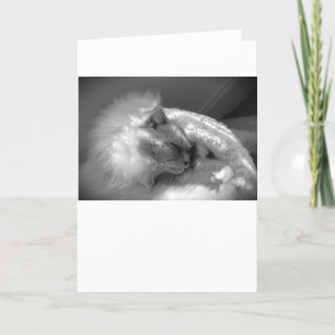 Jours lents, carte