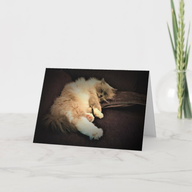 Jours lents, carte (Devant)