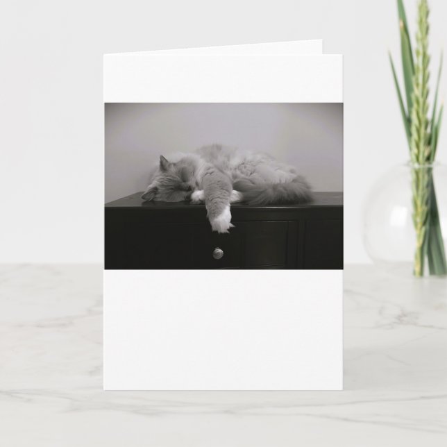 Jours lents, carte (Devant)