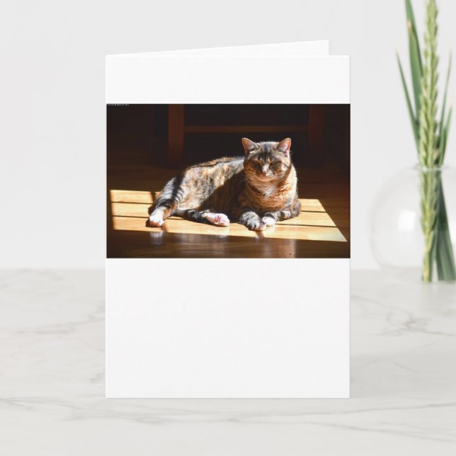 Jours lents, carte (Devant)