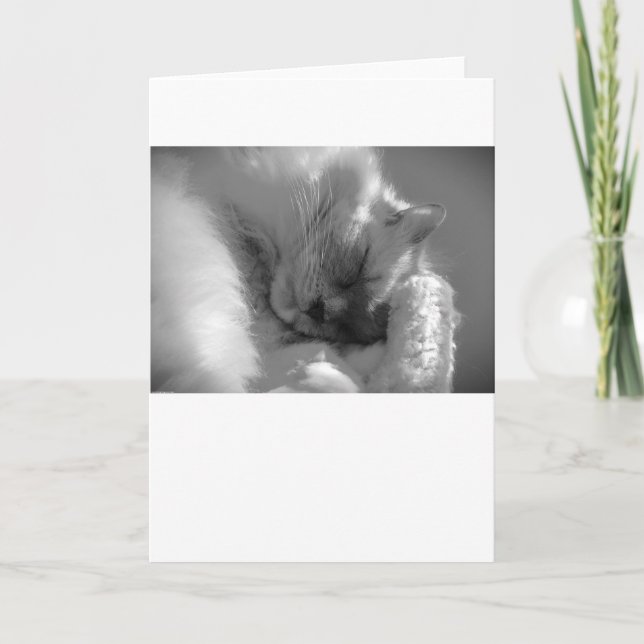 Jours lents, carte (Devant)