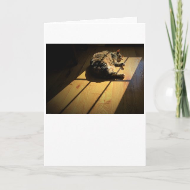 Jours lents, carte (Devant)