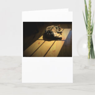 Jours lents, carte