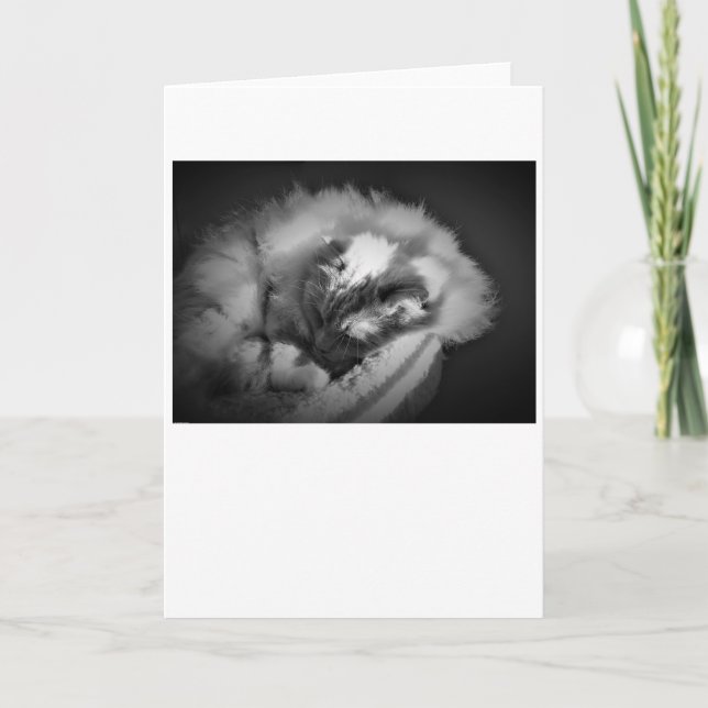 Jours lents, carte (Devant)