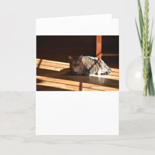 Jours lents, carte
