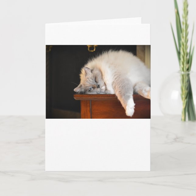 Jours lents, carte (Devant)