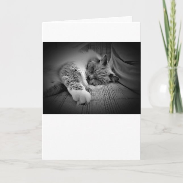 Jours lents, carte (Devant)