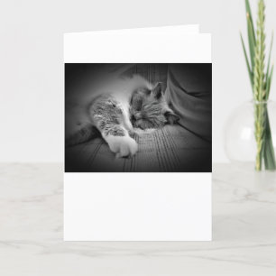 Jours lents, carte