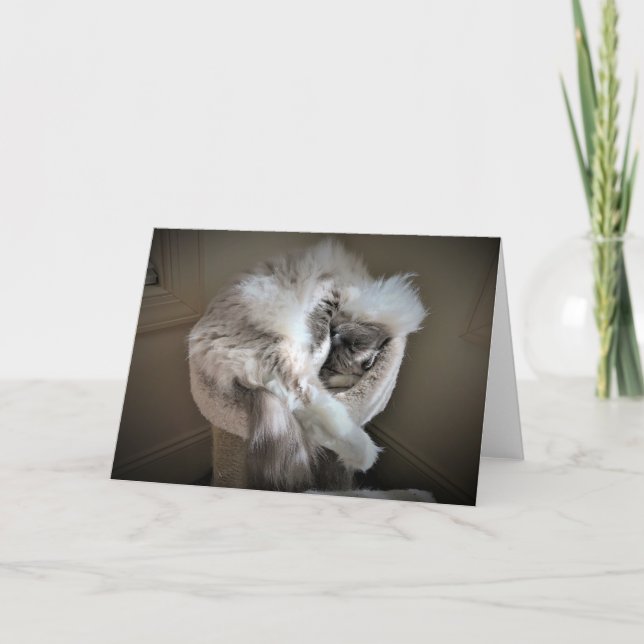 Jours lents, carte (Devant)